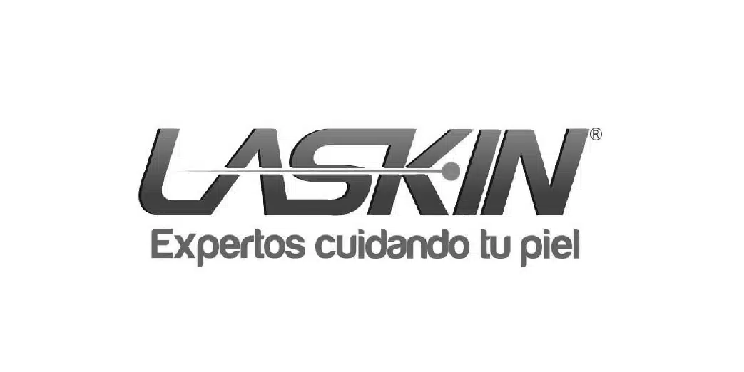 Laskin